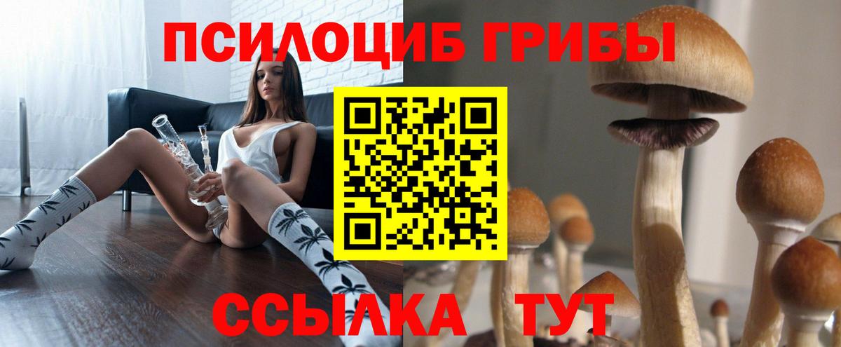 Будённовск  Галлюциногенные грибы GOLDEN TEACHER  купить   Вход с VPN 